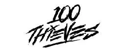 100 Thieves Coupons