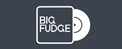 Big Fudge Vinyl Coupons