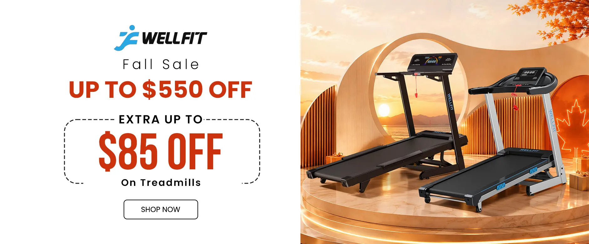 Wellfit Coupons