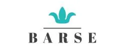 Barse Jewelry Coupons
