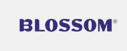Blossom Beauty Coupons