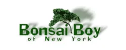 Bonsai Boy of New York Coupons