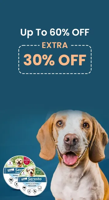 Big Halloween Sale - Up To 60% + Extra 30% Off On Pet Car Products