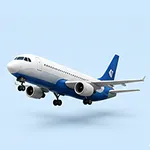 Domestic Flights Coupons