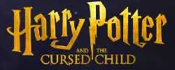 Harry Potter And The Cursed