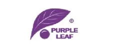Purple Leaf Coupons