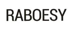 Raboesy Coupons