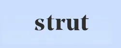 Strut Health Coupons